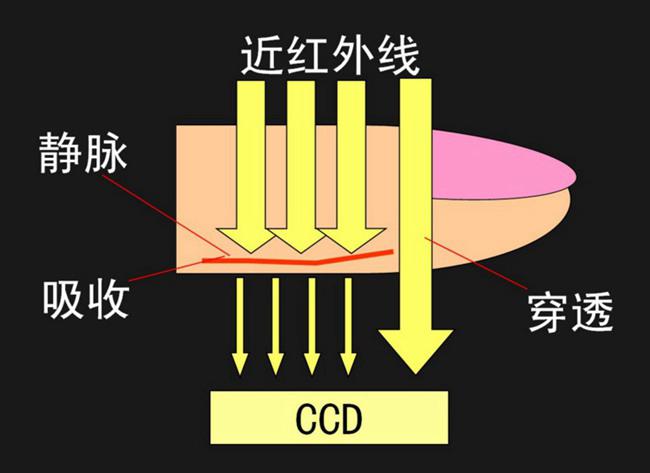  靜脈識(shí)別中濾光片的工作方式