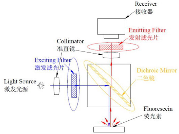 PCR濾光片工作原理