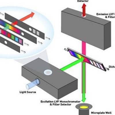 酶標(biāo)儀使用光柵和濾光片的區(qū)別比較